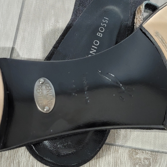 Nwob Antonio Bossi reptile slides 11M - Picture 6 of 6